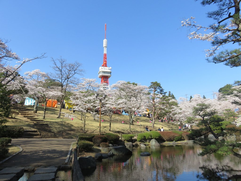 🏞️ 하치만야마 공원 이미지 1